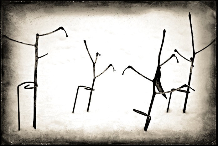 dsc_0158_med-2_med_hr